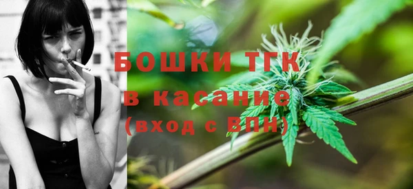 сатива Зеленодольск