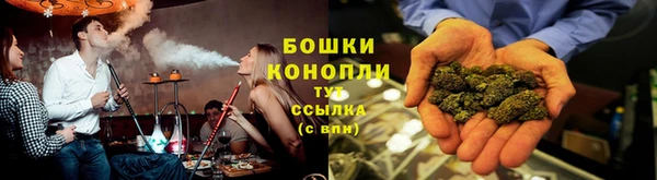 сатива Зеленодольск