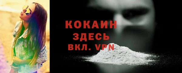 сатива Зеленодольск