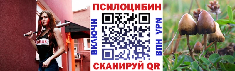 Купить закладки  Зубцов  Галлюциногенные грибы Cubensis 